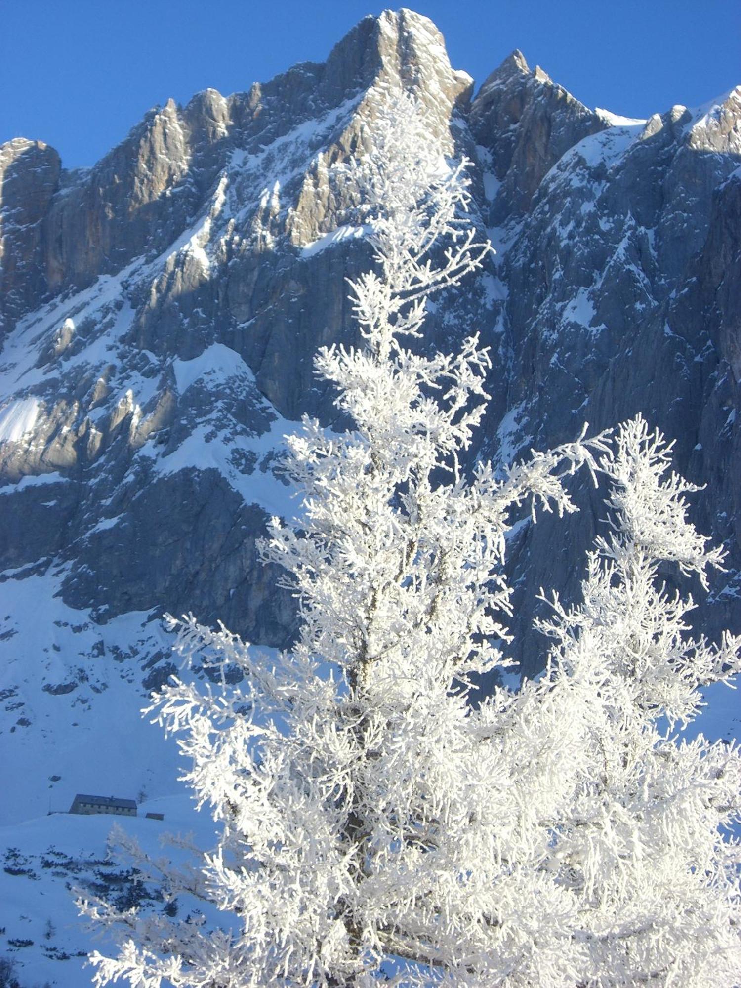 Gasthof Hunerkogel Hotel Ramsau am Dachstein Kültér fotó