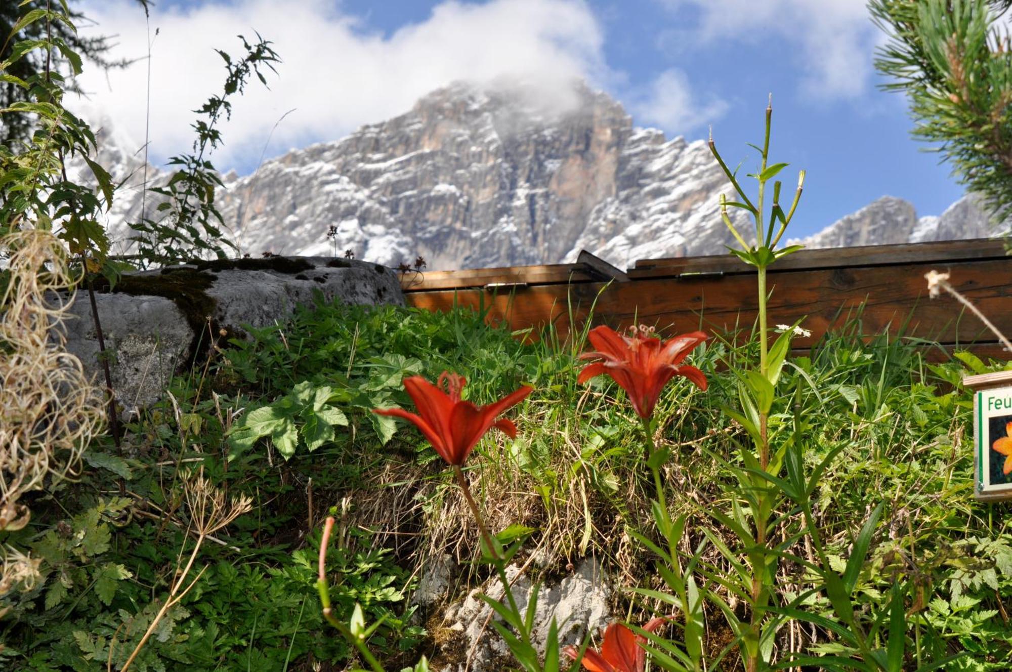 Gasthof Hunerkogel Hotel Ramsau am Dachstein Kültér fotó